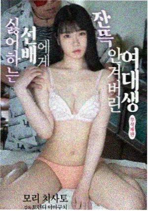 回声档案条目封面